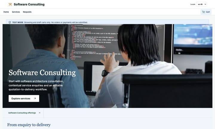 Software Consulting Services demo storefront preview