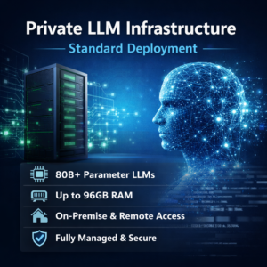 Custom LLM Infrastructure – Fully Managed